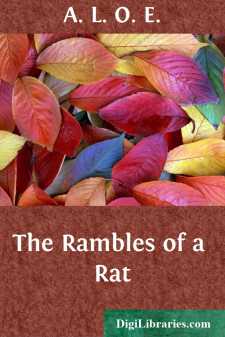 The Rambles of a Rat