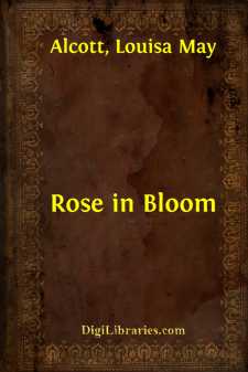 Rose in Bloom