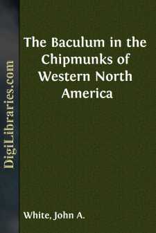 The Baculum in the Chipmunks of Western North America