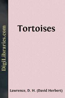 Tortoises