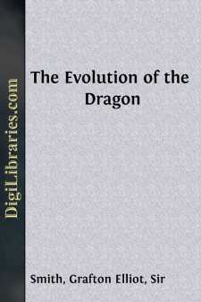 The Evolution of the Dragon
