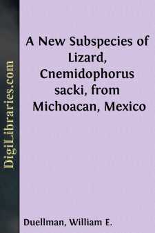 A New Subspecies of Lizard, Cnemidophorus sacki, from Michoacan,...