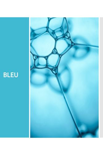Bleu