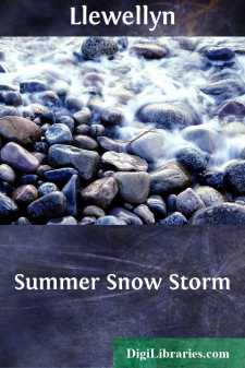 Summer Snow Storm