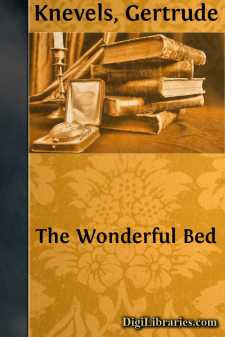 The Wonderful Bed
