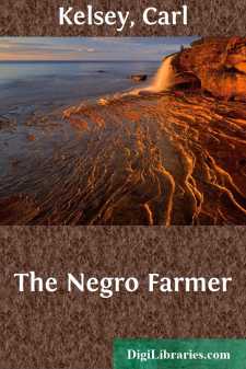 The Negro Farmer