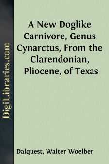 A New Doglike Carnivore, Genus Cynarctus, From the Clarendonian, Pliocene, of Texas