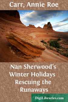 Nan Sherwood's Winter Holidays 
Rescuing the Runaways