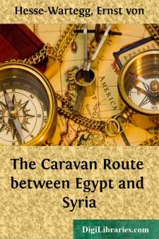 The Caravan Route between Egypt and Syria