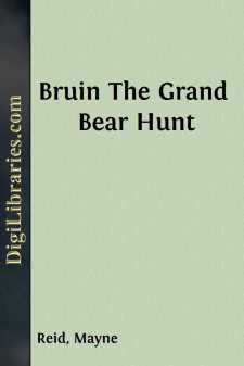 Bruin
The Grand Bear Hunt