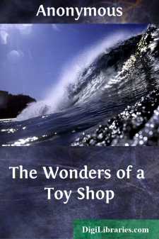 The Wonders of a Toy Shop