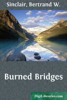 Burned Bridges