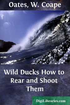 Wild Ducks
How to Rear and Shoot Them
