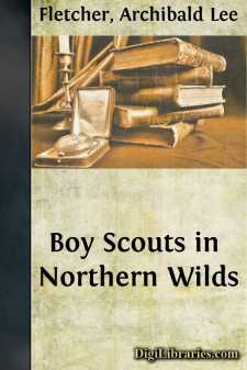 Boy Scouts in Northern Wilds
