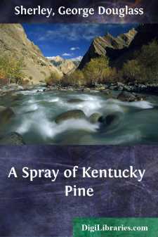 A Spray of Kentucky Pine