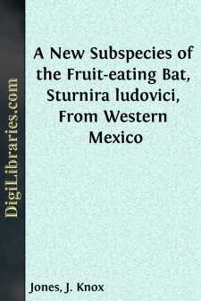 A New Subspecies of the Fruit-eating Bat, Sturnira ludovici, From...