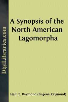 A Synopsis of the North American Lagomorpha