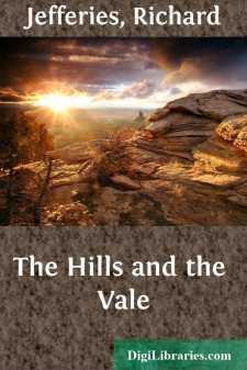 The Hills and the Vale