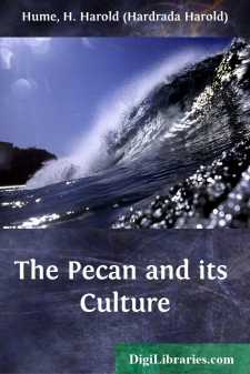 The Pecan and its Culture