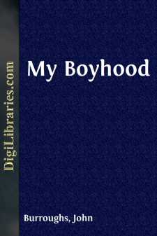 My Boyhood