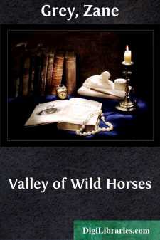 Valley of Wild Horses