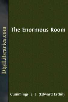 The Enormous Room