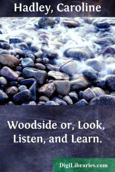 Woodside
or, Look, Listen, and Learn.