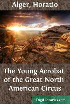 The Young Acrobat of the Great North American Circus