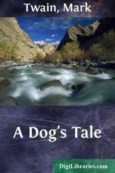 A Dog's Tale