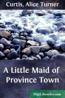 A Little Maid of Province Town