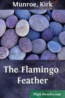 The Flamingo Feather