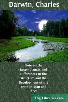 Note on the Resemblances and Differences in the Structure and the Development of the Brain in Man and Apes