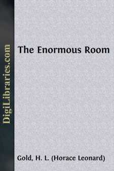 The Enormous Room