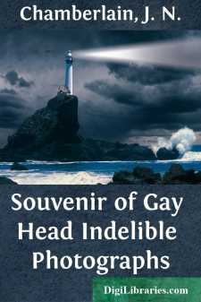 Souvenir of Gay Head
Indelible Photographs