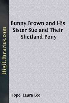 Bunny Brown and His Sister Sue and Their Shetland Pony
