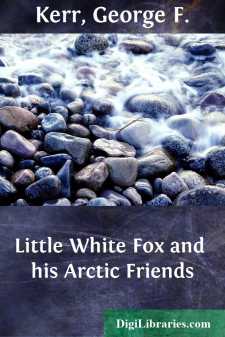 Little White Fox and his Arctic Friends