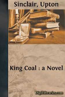 King Coal : a Novel