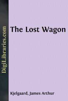 The Lost Wagon