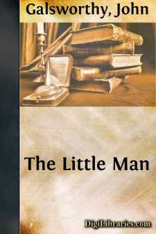 The Little Man