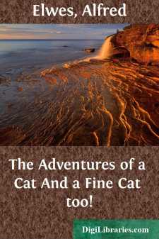 The Adventures of a Cat
And a Fine Cat too!