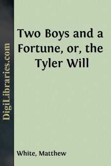 Two Boys and a Fortune, or, the Tyler Will