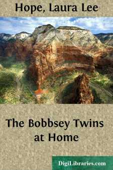 The Bobbsey Twins at Home