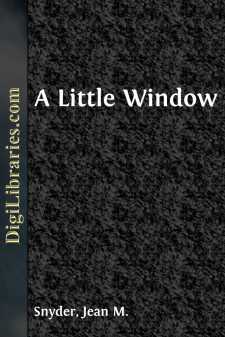 A Little Window