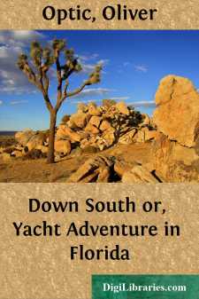 Down South
or, Yacht Adventure in Florida