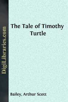The Tale of Timothy Turtle