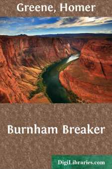 Burnham Breaker