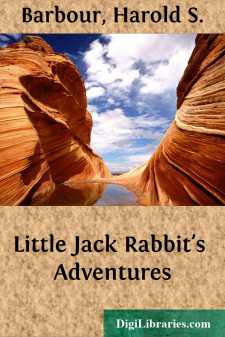 Little Jack Rabbit's Adventures