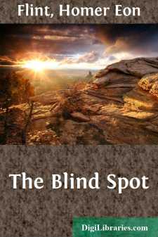 The Blind Spot