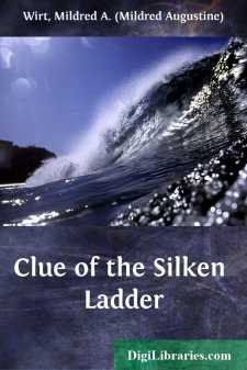 Clue of the Silken Ladder