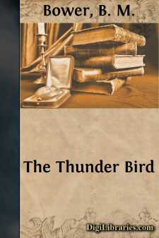 The Thunder Bird